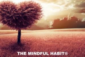 mindful-habit-partners-guide