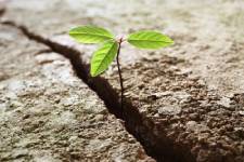 sprout-a-life-change
